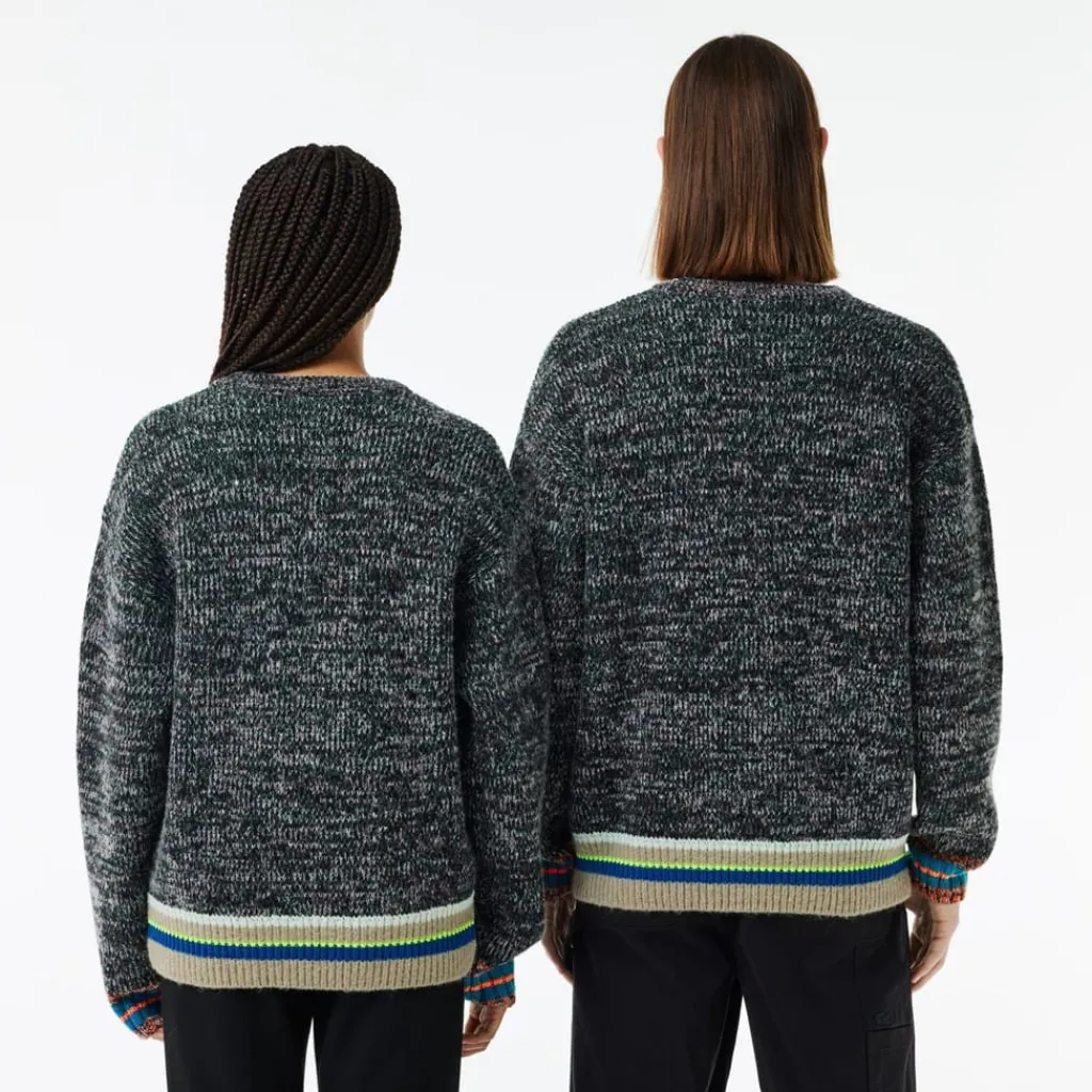 Knitwear*Lacoste Crew Neck Regular Fit Long Sleeve Sweater in Multi