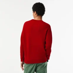 Knitwear*Lacoste Crew Neck Regular Fit Sweater in Red