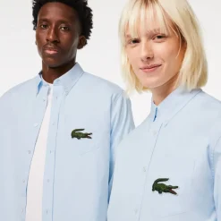 Shirts*Lacoste Relaxed Fit Striped Shirt in Light Blue