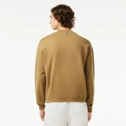 Knitwear*Lacoste Sh2060 Jmpr in Brown