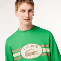 Knitwear*Lacoste Sh1420 Jmpr in Green