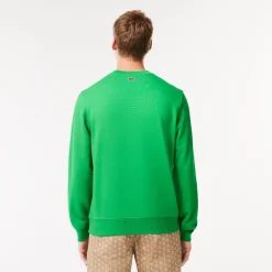 Knitwear*Lacoste Sh1420 Jmpr in Green