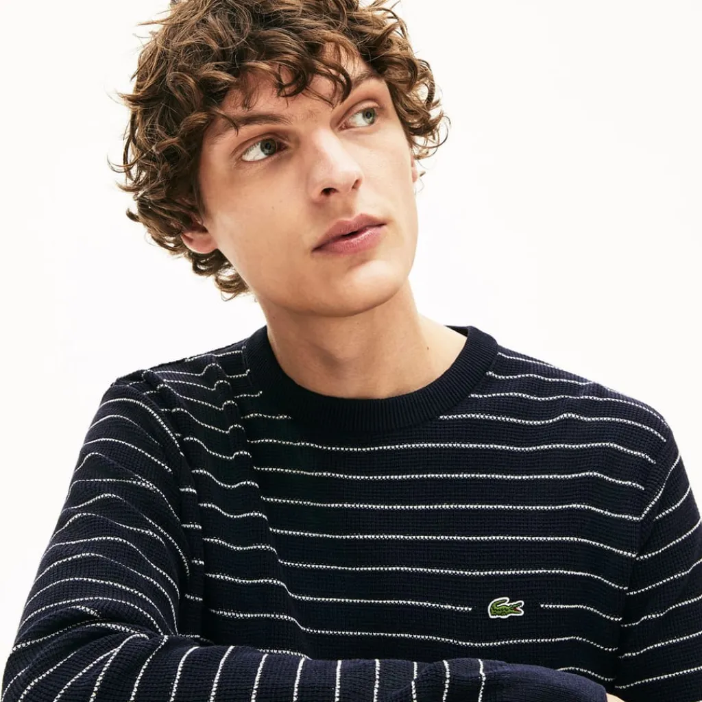 Sweatshirts*Lacoste Striped Textured Cotton Sweatshirt in Navy