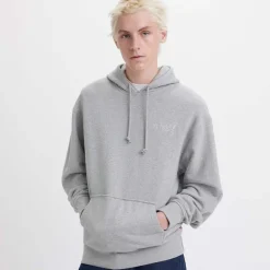 Sweatshirts*Levis Relaxed Graphic Hoody in Grey Marl