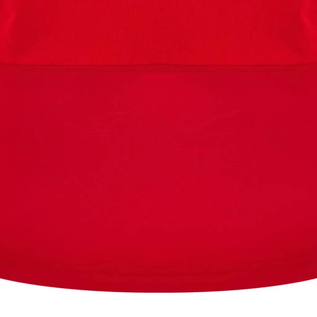 Football And Rugby Clothing*Macron Welsh Rugby Union Home Long Sleeve Shirt 2024 2025 Adults in Red