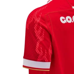 Football And Rugby Clothing*Macron Welsh Rugby Union Home Shirt 2024 Adults in Red