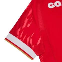Football And Rugby Clothing*Macron Welsh Rugby Union Authentic Home Shirt 2024 Adults in Red
