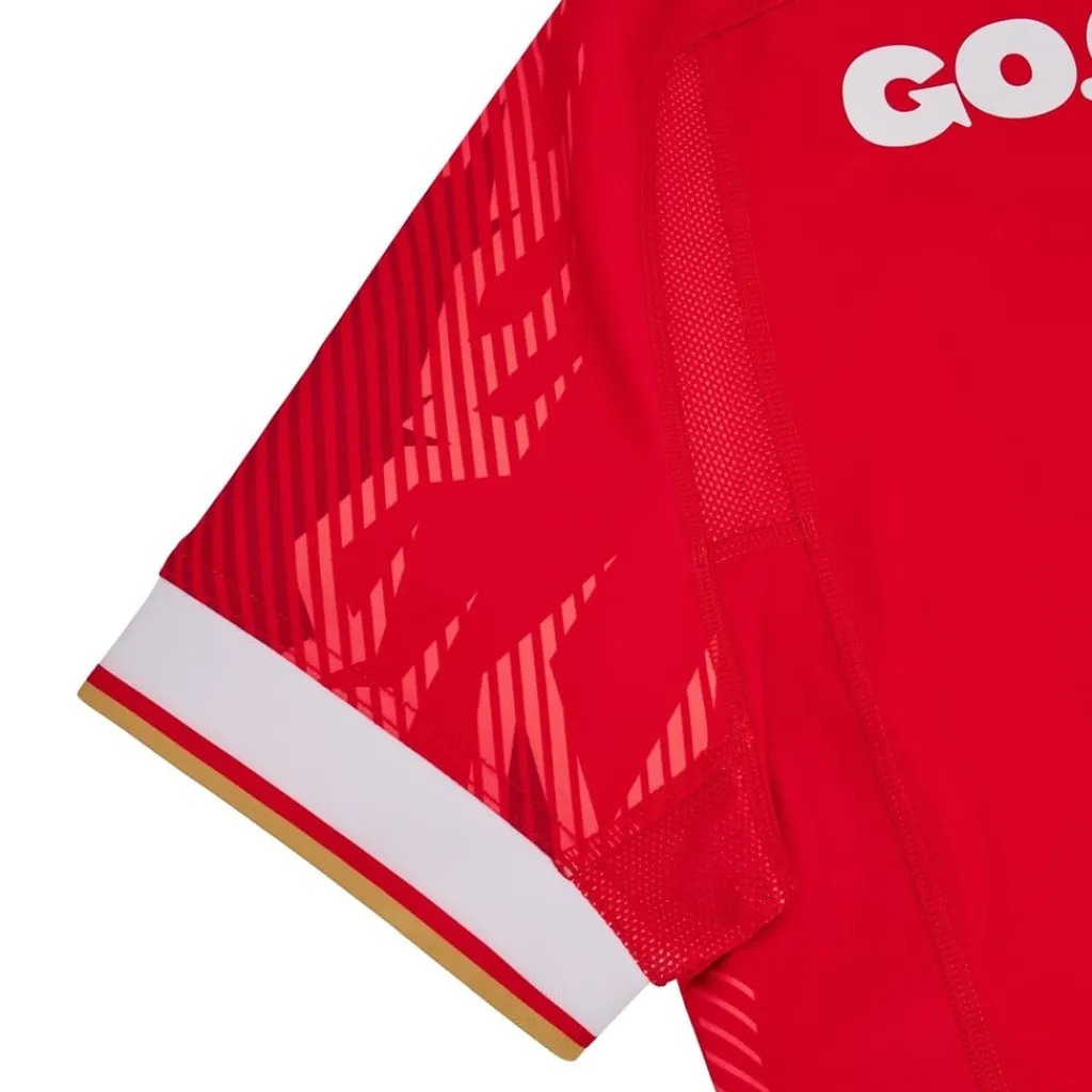 Football And Rugby Clothing*Macron Welsh Rugby Union Authentic Home Shirt 2024 Adults in Red