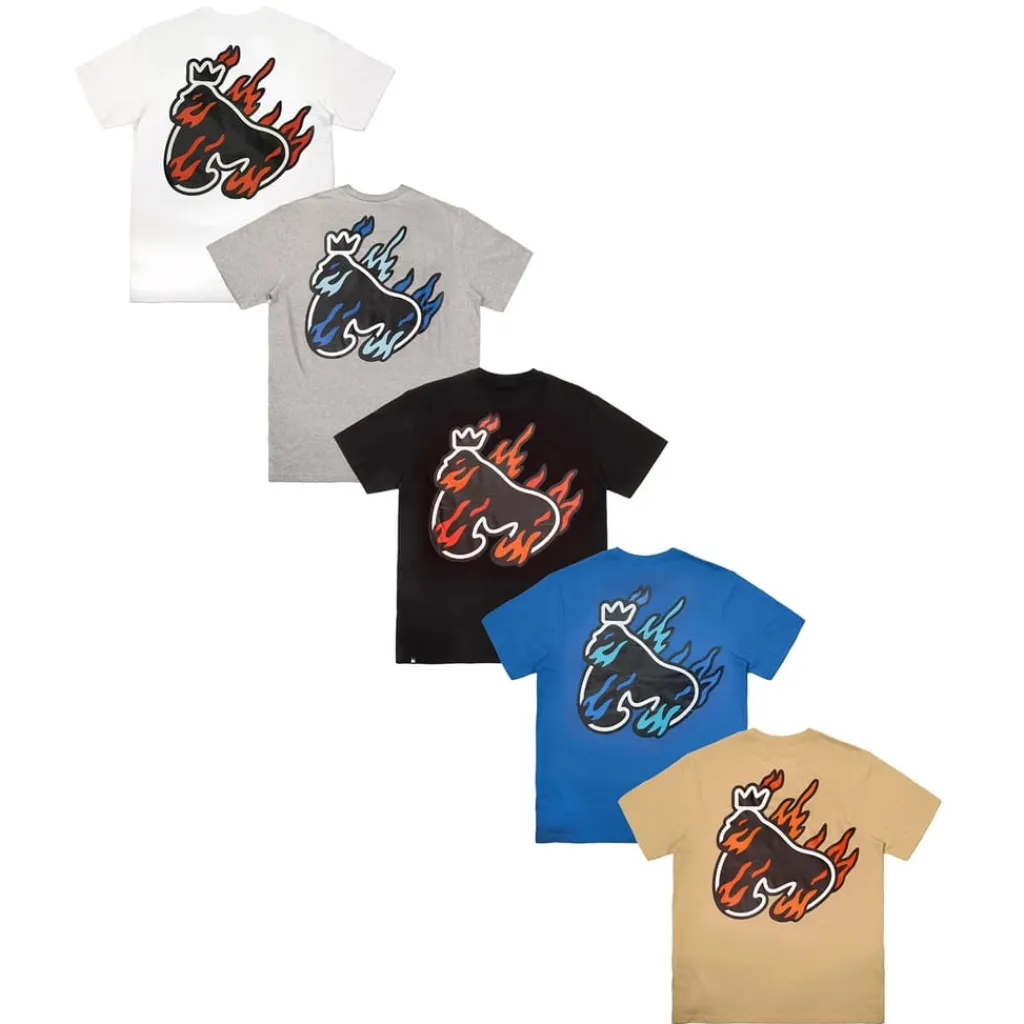 T-Shirts And Vests*Money 5 Pack Flame Sig Tees in Multi