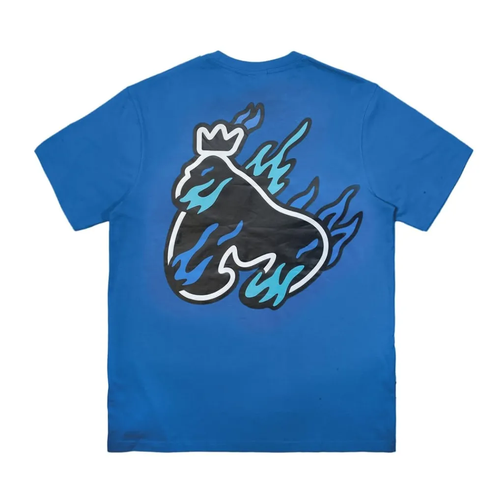 T-Shirts And Vests*Money 5 Pack Flame Sig Tees in Multi