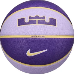 Assorted*Nike Lebron All Court in Purple