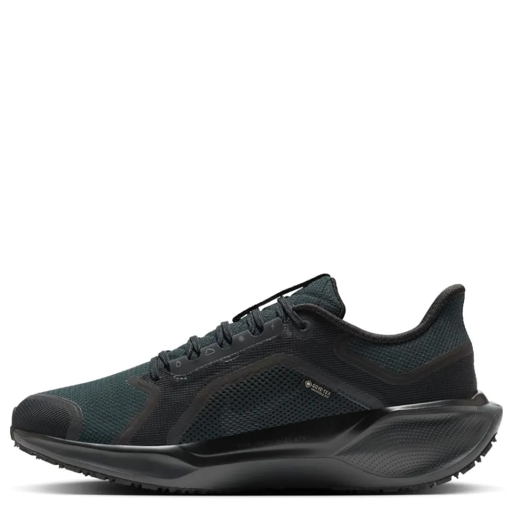 Fitness And Gym Footwear|Running Shoes*Nike Mens Pegasus 41 Gore Tex Waterproof Road Running Shoes in Black