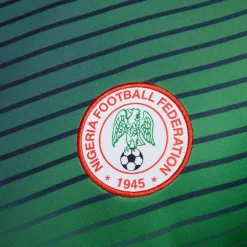 Football And Rugby Clothing*Nike Nigeria Academy Pro Home Pre Match 2024 Shirt Adults in Grey