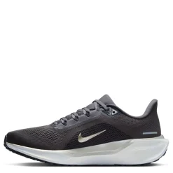 Fitness And Gym Footwear|Running Shoes*Nike Pegasus 41 ji in Grey