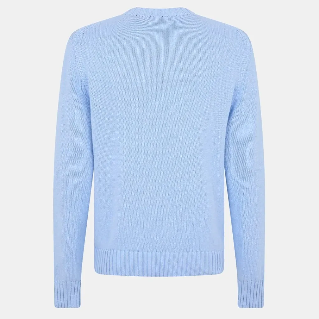 Knitwear*Polo Ralph Lauren Holidybear Knit in Blue