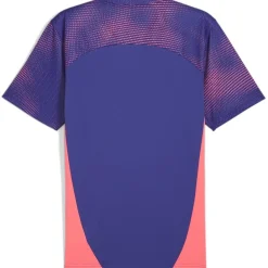 Football And Rugby Clothing*Puma Final Jersey Regular Fit Crew Neck T-Shirt in Purple