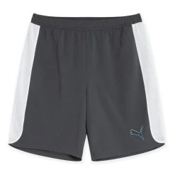 Shorts*Puma Mens Finesse Performance Training Shorts in Grey