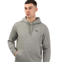 Sweatshirts*Puma Small Logo Hoodie in Grey