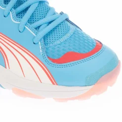 Shoes*Puma Spike 24.1 Cricket Shoes in Blue