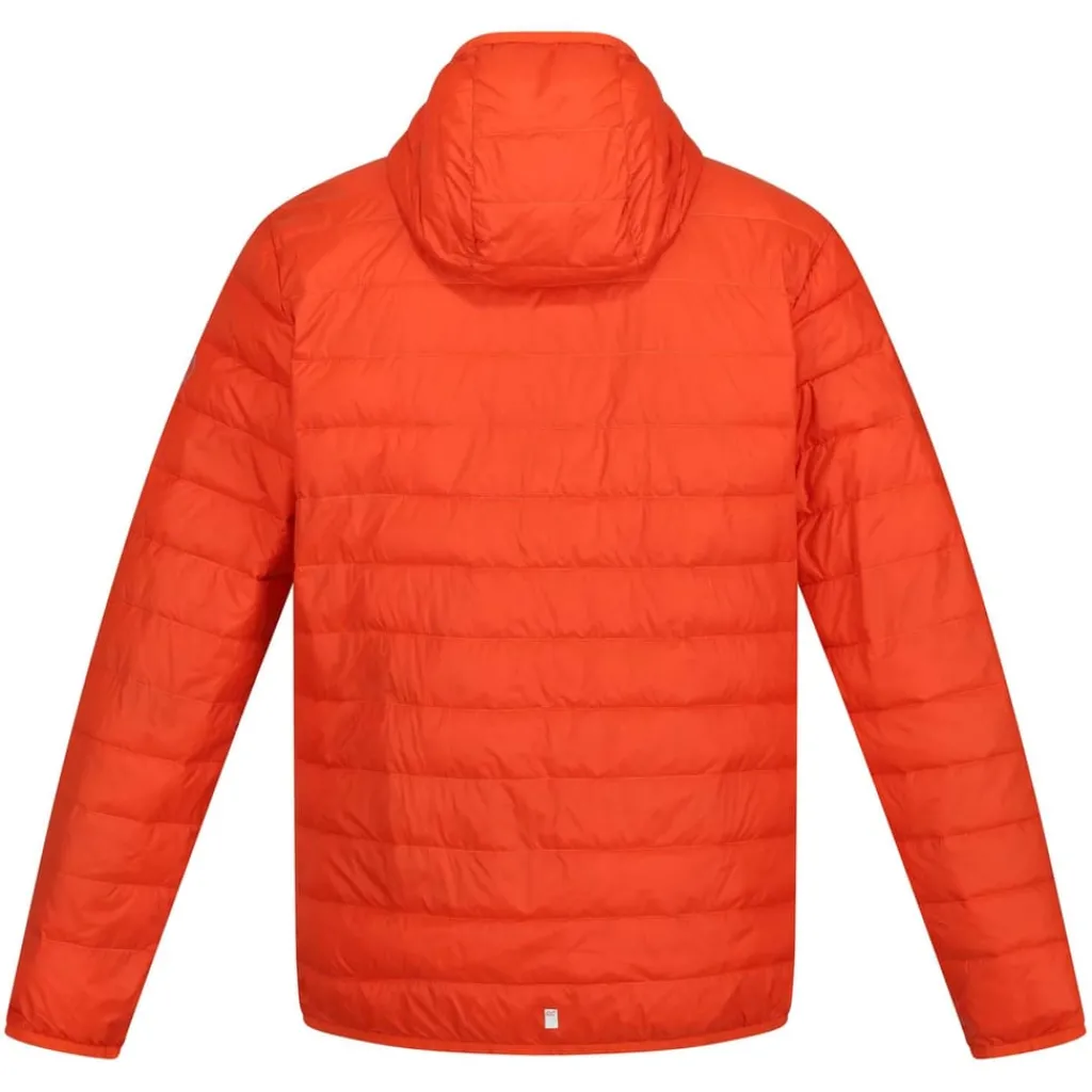 Coats And Jackets*Regatta Hooded Hillpack Insulated Jacket in Orange