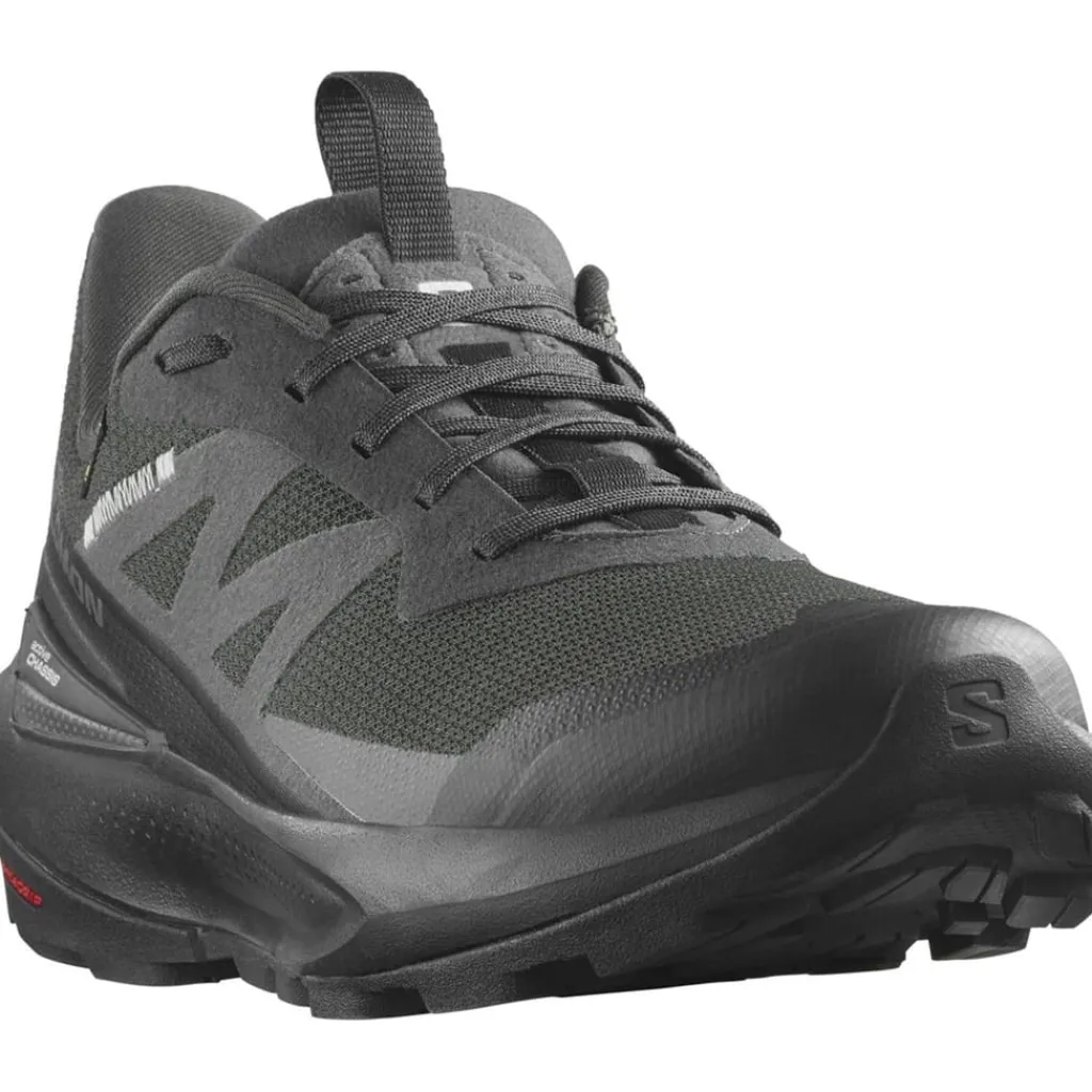 Shoes|Outdoor Footwear*Salomon Mens Elixir Activ GorE-Tex Walking Shoe in Black