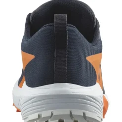 Fitness And Gym Footwear|Running Shoes*Salomon Mens Sense Ride 5 Goretex Trail Running Shoes in Blue