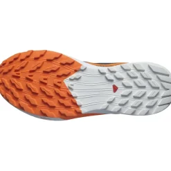 Fitness And Gym Footwear|Running Shoes*Salomon Mens Sense Ride 5 Goretex Trail Running Shoes in Blue