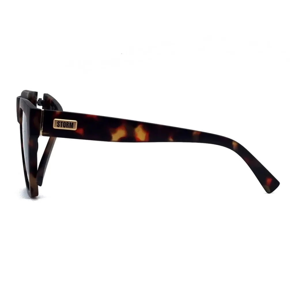Sunglasses*Storm Flat Top Gls in Brown