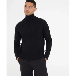 Knitwear*Threadbare Turtleneck Regular Fit Sweater in Black