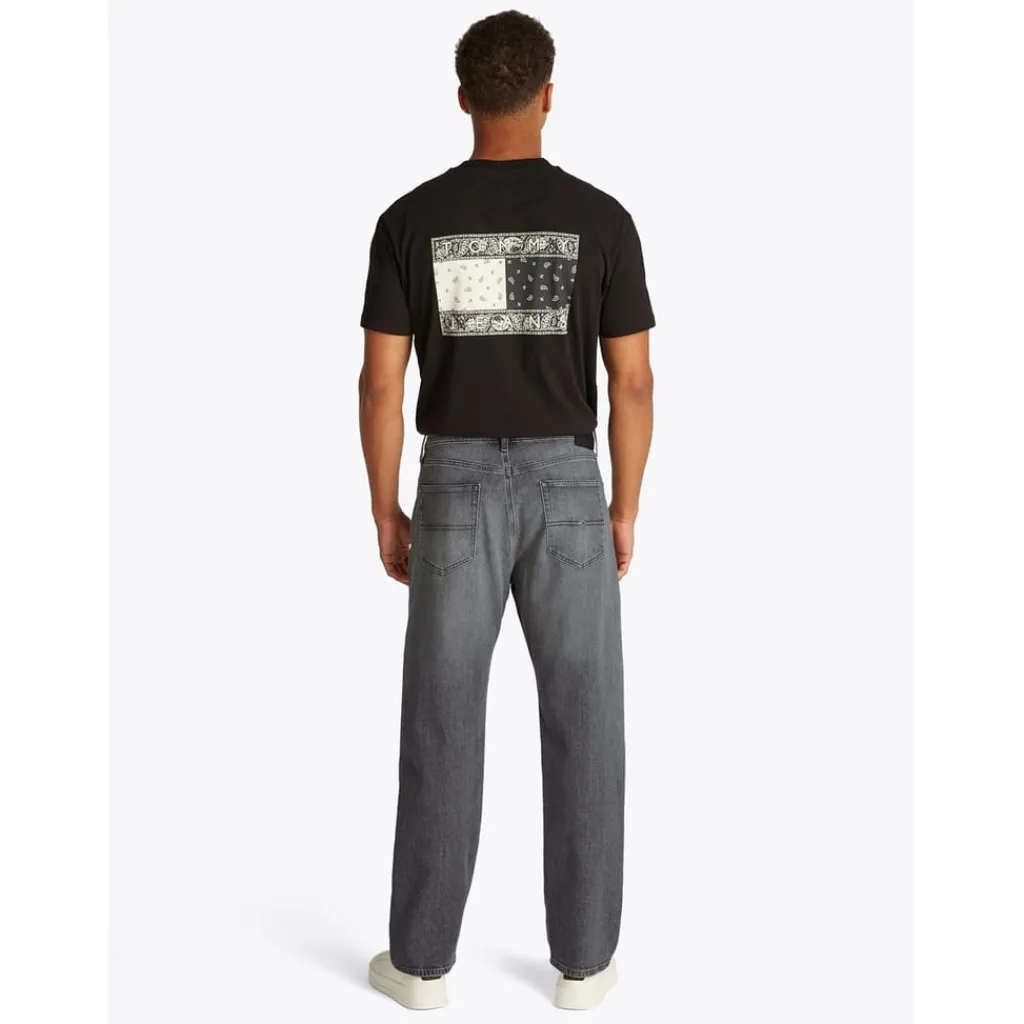 Jeans*Tommy Jeans Regular Str Bi0177 in Black