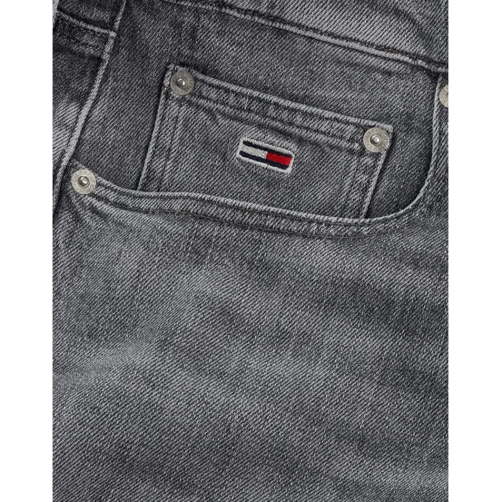 Jeans*Tommy Jeans Regular Str Bi0177 in Black