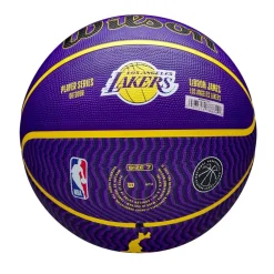Assorted*Wilson Nbaplayer Bball 00 in Purple